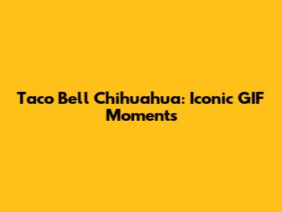 Taco Bell Chihuahua: Iconic GIF Moments