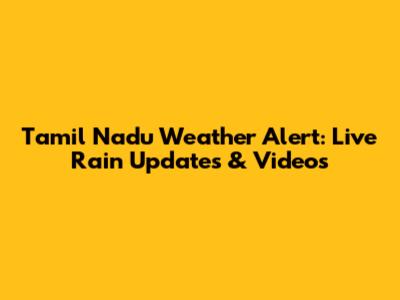 Tamil Nadu Weather Alert: Live Rain Updates & Videos