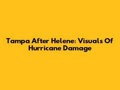 Tampa After Helene: Visuals Of Hurricane Damage