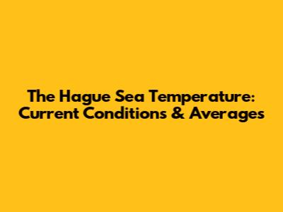 The Hague Sea Temperature: Current Conditions & Averages