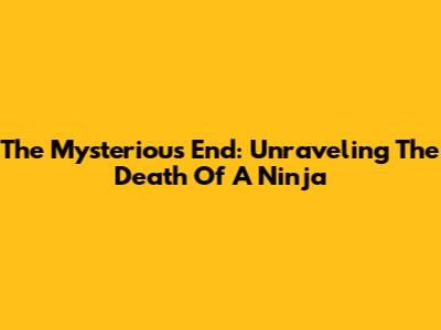 The Mysterious End: Unraveling The Death Of A Ninja
