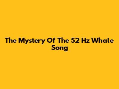 The Mystery Of The 52 Hz Whale Song