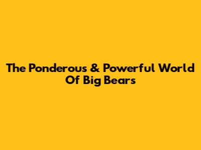 The Ponderous & Powerful World Of Big Bears