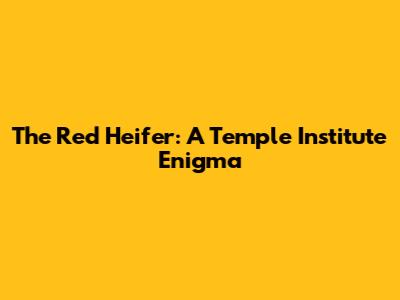 The Red Heifer: A Temple Institute Enigma