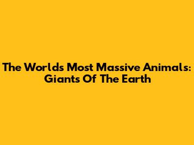 The World's Most Massive Animals: Giants Of The Earth
