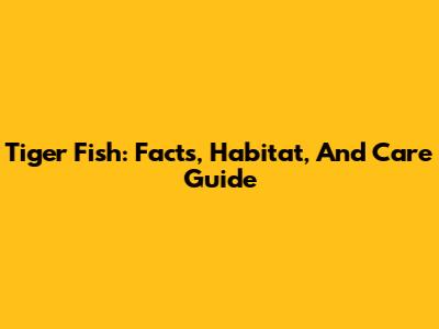 Tiger Fish: Facts, Habitat, And Care Guide