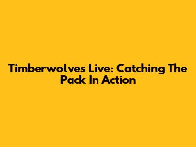Timberwolves Live: Catching The Pack In Action