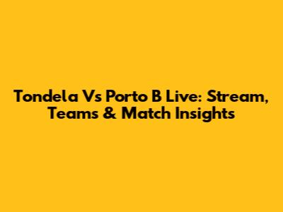 Tondela Vs Porto B Live: Stream, Teams & Match Insights