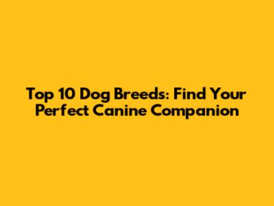 Top 10 Dog Breeds: Find Your Perfect Canine Companion