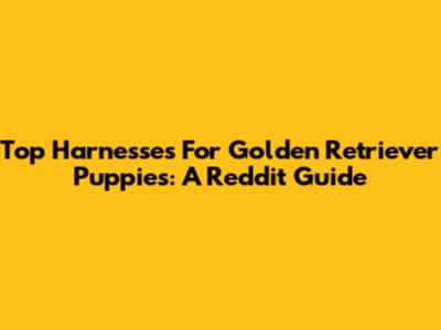 Top Harnesses For Golden Retriever Puppies: A Reddit Guide