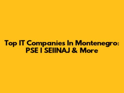 Top IT Companies In Montenegro: PSE I SEIINAJ & More