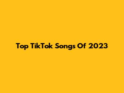 Top TikTok Songs Of 2023