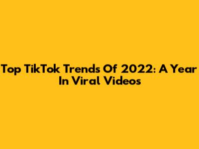 Top TikTok Trends Of 2022: A Year In Viral Videos