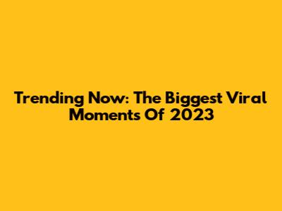 Trending Now: The Biggest Viral Moments Of 2023