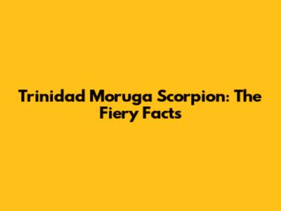 Trinidad Moruga Scorpion: The Fiery Facts