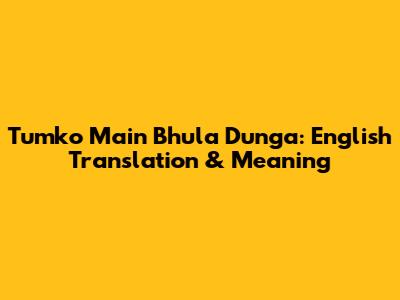 Tumko Main Bhula Dunga: English Translation & Meaning
