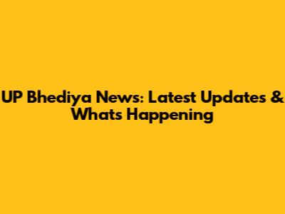 UP Bhediya News: Latest Updates & What's Happening