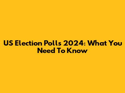 US Election Polls 2024: What You Need To Know