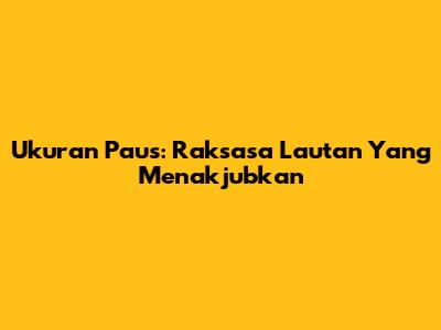 Ukuran Paus: Raksasa Lautan Yang Menakjubkan