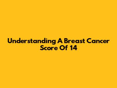 Understanding A Breast Cancer Score Of 14
