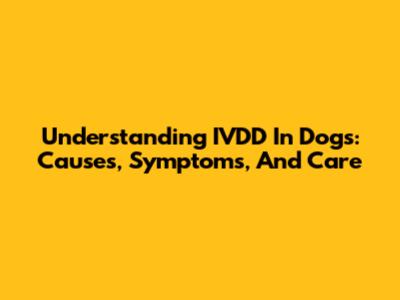 Understanding IVDD In Dogs: Causes, Symptoms, And Care