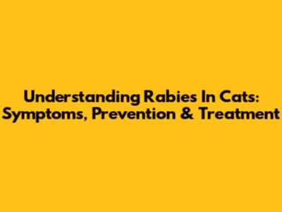 Understanding Rabies In Cats: Symptoms, Prevention & Treatment