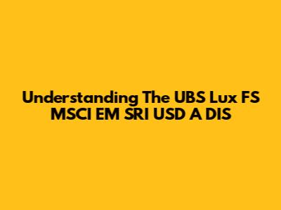 Understanding The UBS Lux FS MSCI EM SRI USD A DIS