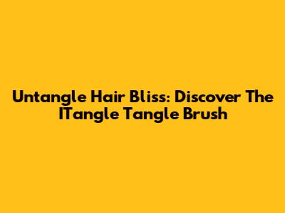 Untangle Hair Bliss: Discover The ITangle Tangle Brush