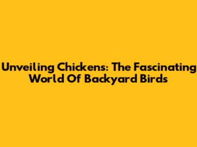 Unveiling Chickens: The Fascinating World Of Backyard Birds