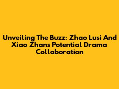 Unveiling The Buzz: Zhao Lusi And Xiao Zhan's Potential Drama Collaboration