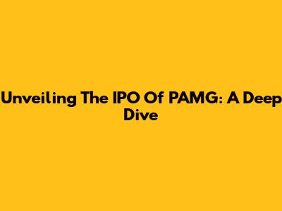 Unveiling The IPO Of PAMG: A Deep Dive