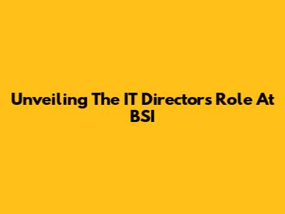 Unveiling The IT Director's Role At BSI