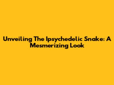 Unveiling The Ipsychedelic Snake: A Mesmerizing Look