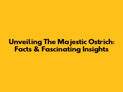 Unveiling The Majestic Ostrich: Facts & Fascinating Insights