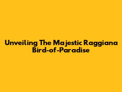 Unveiling The Majestic Raggiana Bird-of-Paradise