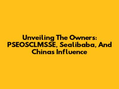 Unveiling The Owners: PSEOSCLMSSE, Sealibaba, And China's Influence