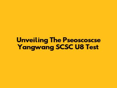 Unveiling The Pseoscoscse Yangwang SCSC U8 Test