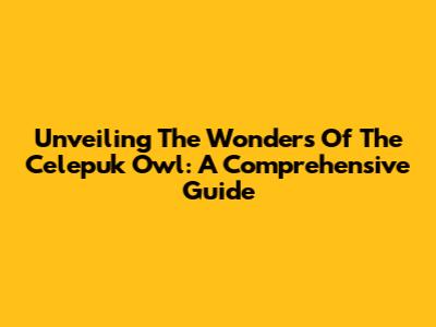 Unveiling The Wonders Of The Celepuk Owl: A Comprehensive Guide