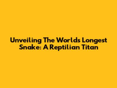 Unveiling The World's Longest Snake: A Reptilian Titan