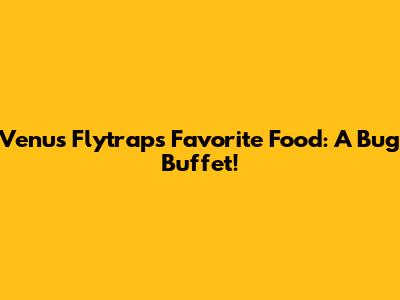 Venus Flytrap's Favorite Food: A Bug Buffet!