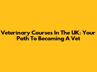Veterinary Courses In The UK: Your Path To Becoming A Vet