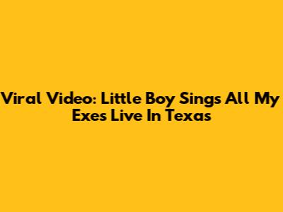 Viral Video: Little Boy Sings 'All My Exes Live In Texas'