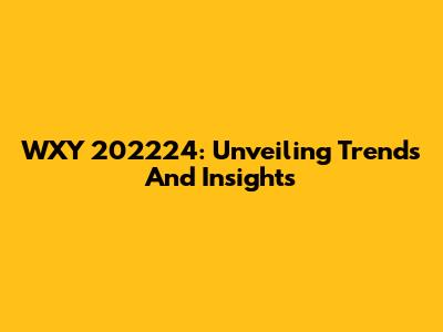WXY 202224: Unveiling Trends And Insights