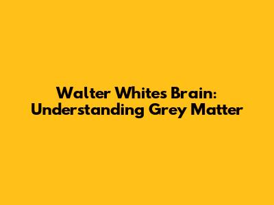 Walter White's Brain: Understanding Grey Matter