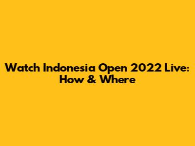 Watch Indonesia Open 2022 Live: How & Where