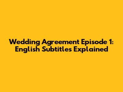 Wedding Agreement Episode 1: English Subtitles Explained