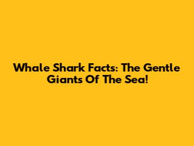 Whale Shark Facts: The Gentle Giants Of The Sea!