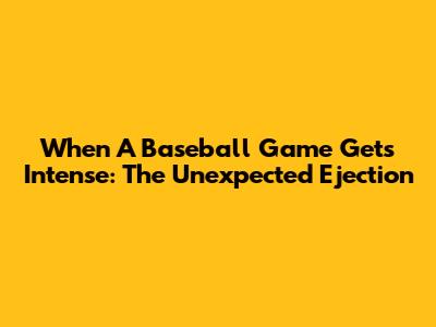 When A Baseball Game Gets Intense: The Unexpected Ejection