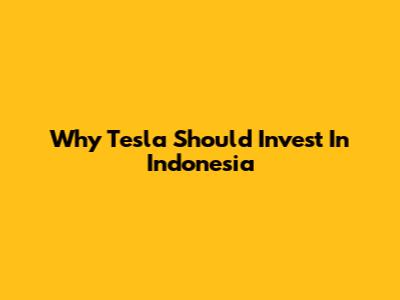 Why Tesla Should Invest In Indonesia