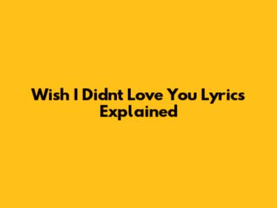 Wish I Didn't Love You Lyrics Explained